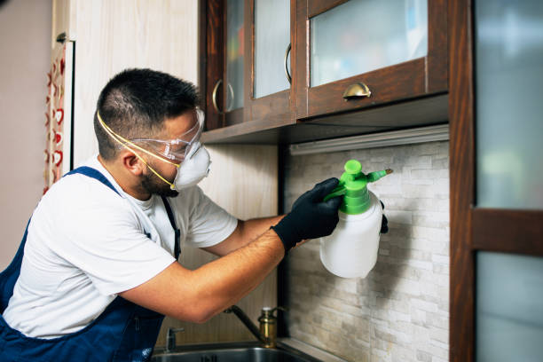 Best Spider Control Near Me  in North Ballston Spa, NY