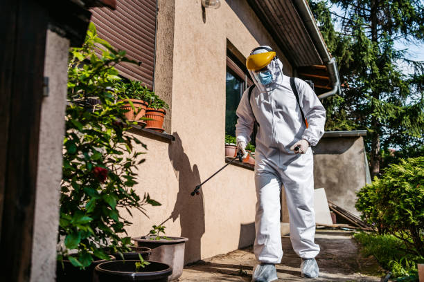 Insect Control in North Ballston Spa, NY