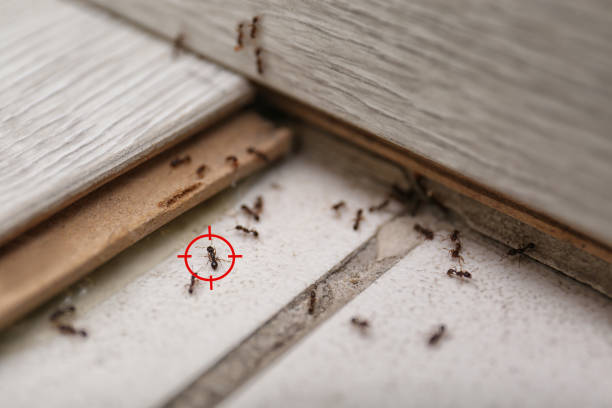 North Ballston Spa, NY Pest Control Company