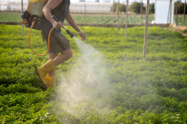 Best Best Pest Control Companies  in North Ballston Spa, NY