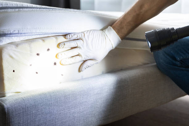 Best Emergency Pest Control  in North Ballston Spa, NY