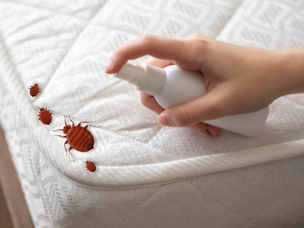 Pest Control Cost in North Ballston Spa, NY